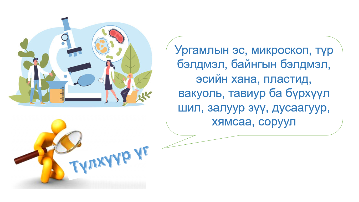 Мэдлээ | Цахим контент